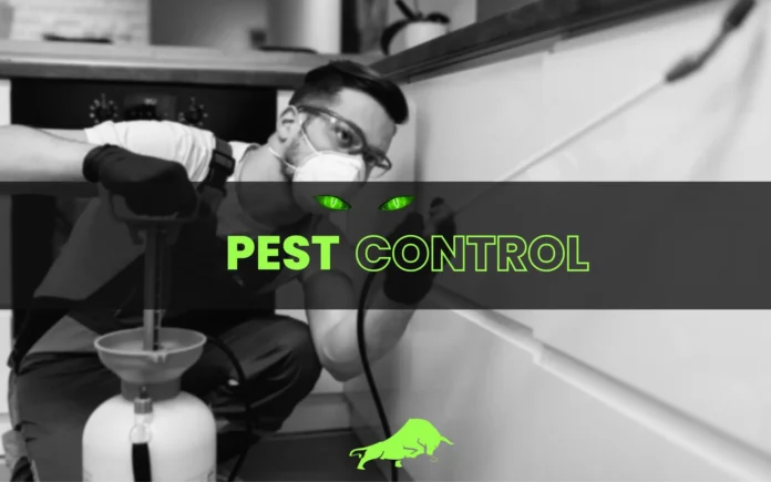 Choosing a Pest Control SEO Company